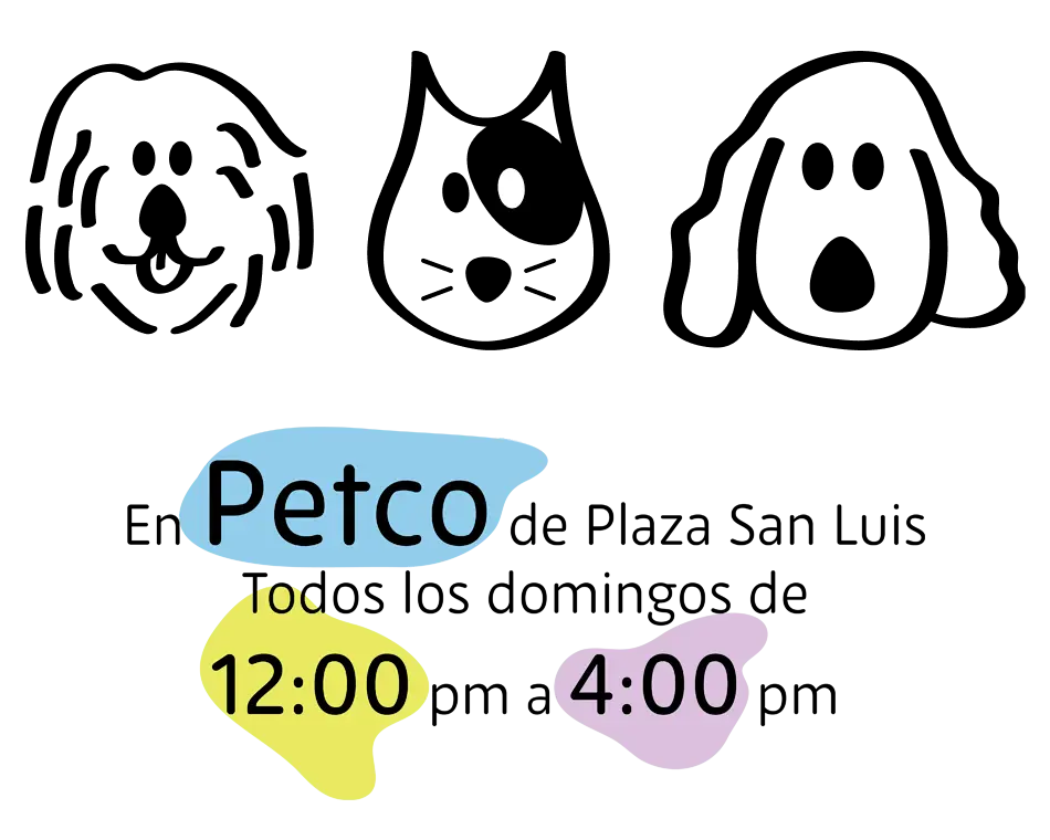En Petco Plaza San Luis todos los sábados y domingos de 12:00 PM a 4:00 PM